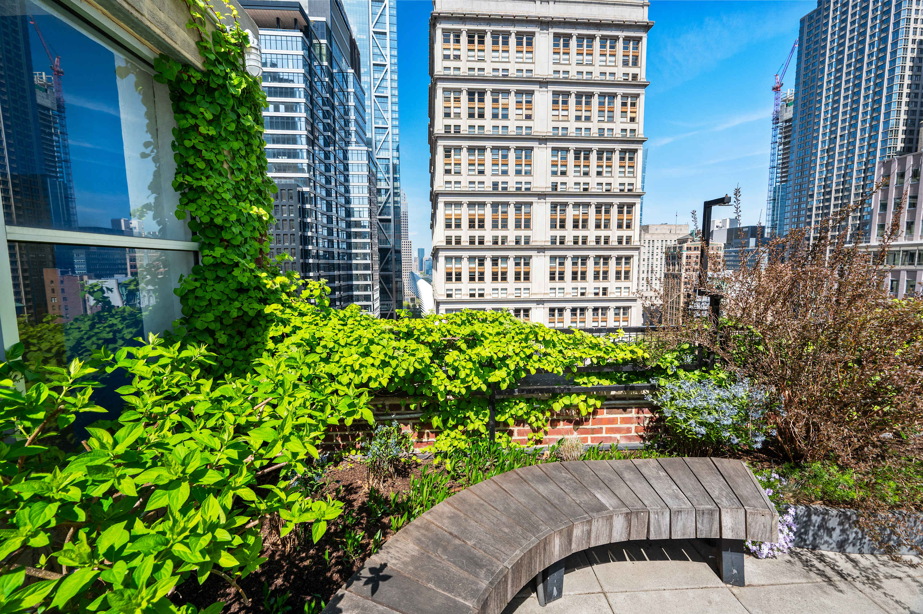 Wooden bench on the rooftop terrace overlooking the Lower Manhattan skyline