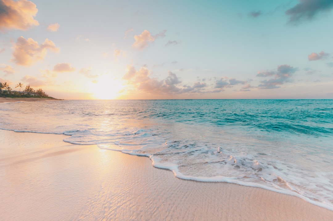 Caribbean beach at golden hour with turquoise water at Blue Apple Beach, Tierra Bomba