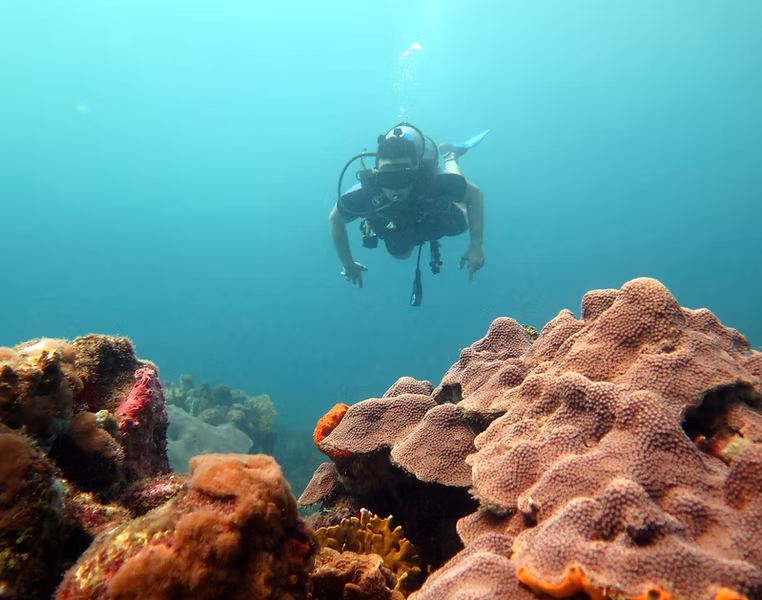 Scuba diver swimming near coral in clear blue water off Tierra Bomba