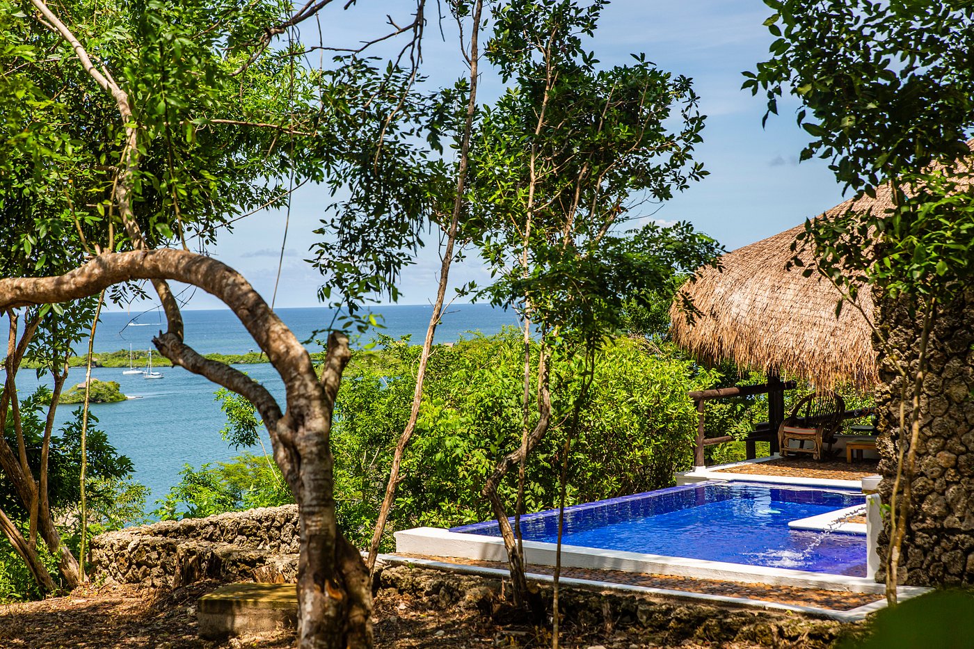 A swimming pool with a thatched roof and ocean view on Barú Island.