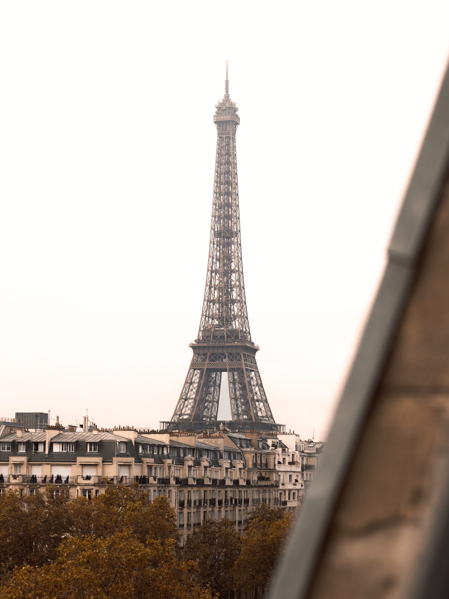 The Eiffel Tower seen from the rooftops of Paris.