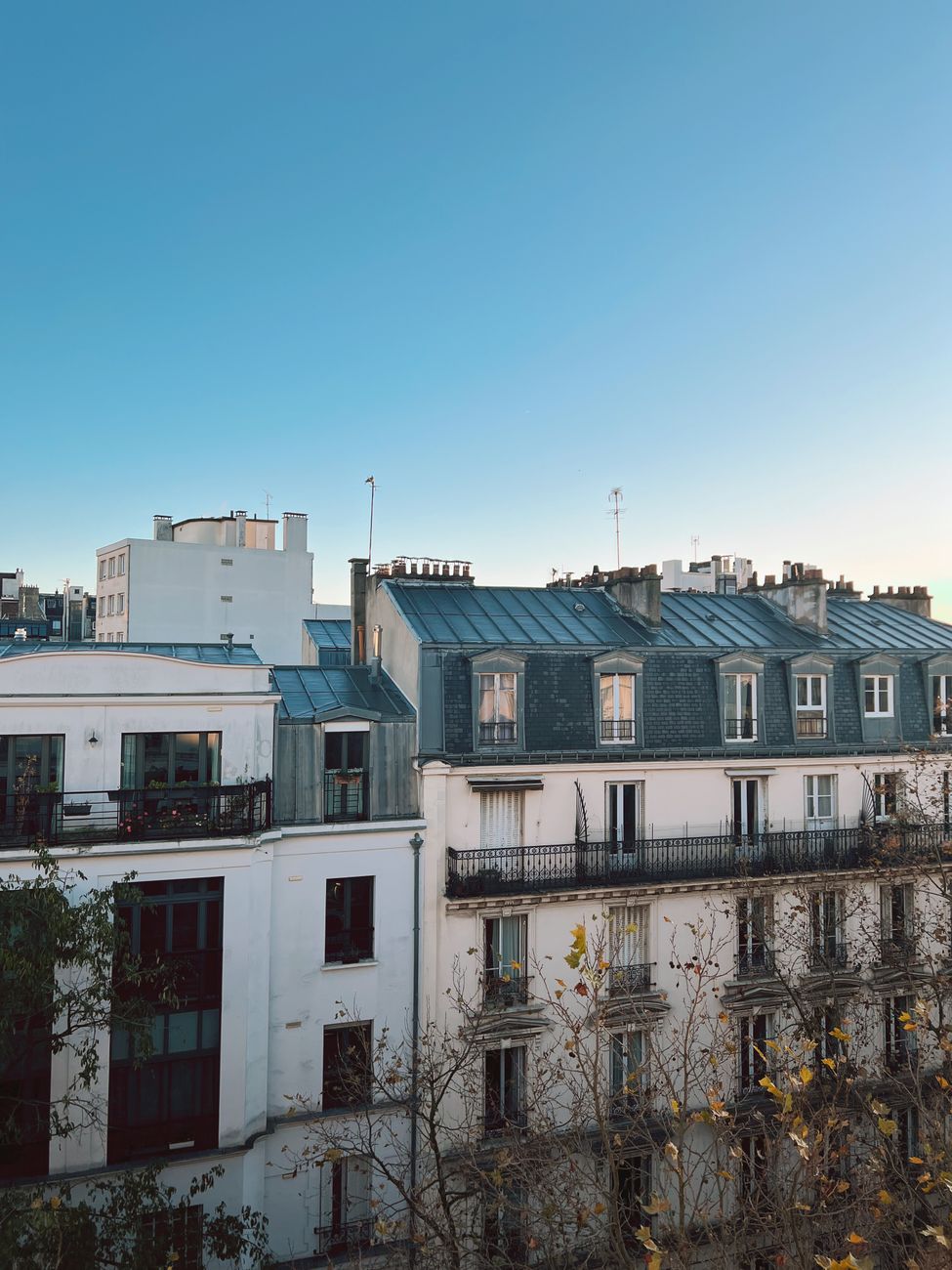 Parisian rooftops at sunrise, seen from the left bank