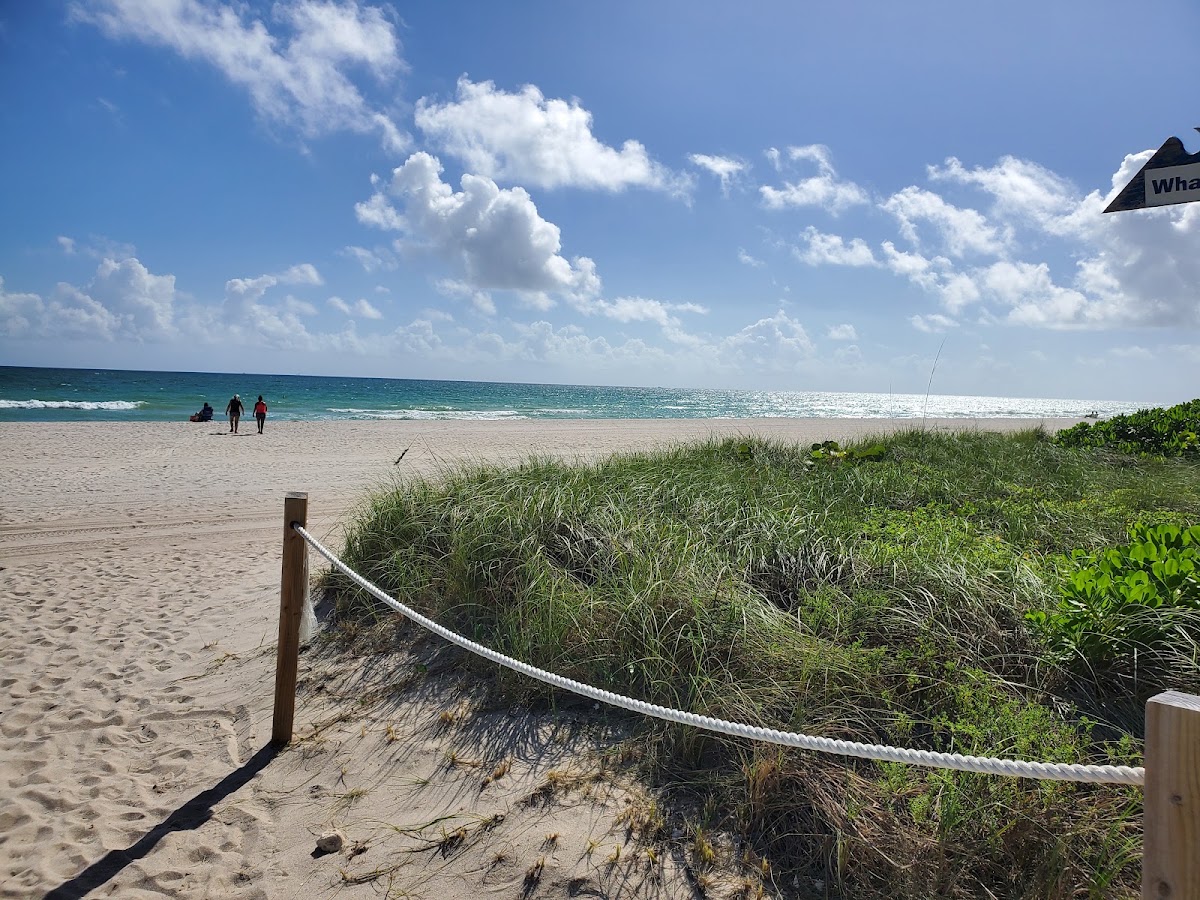 Surfside, Florida, the small town just north of our North Beach address