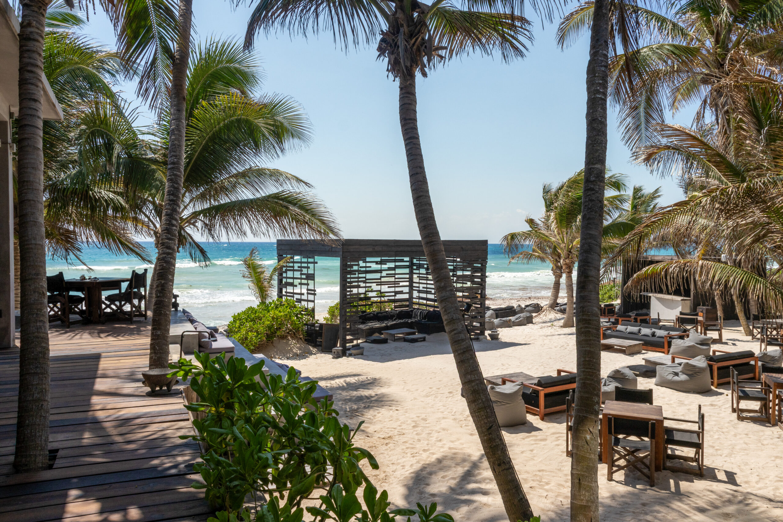 The UMi beach club under the palms, with loungers and the sea beyond