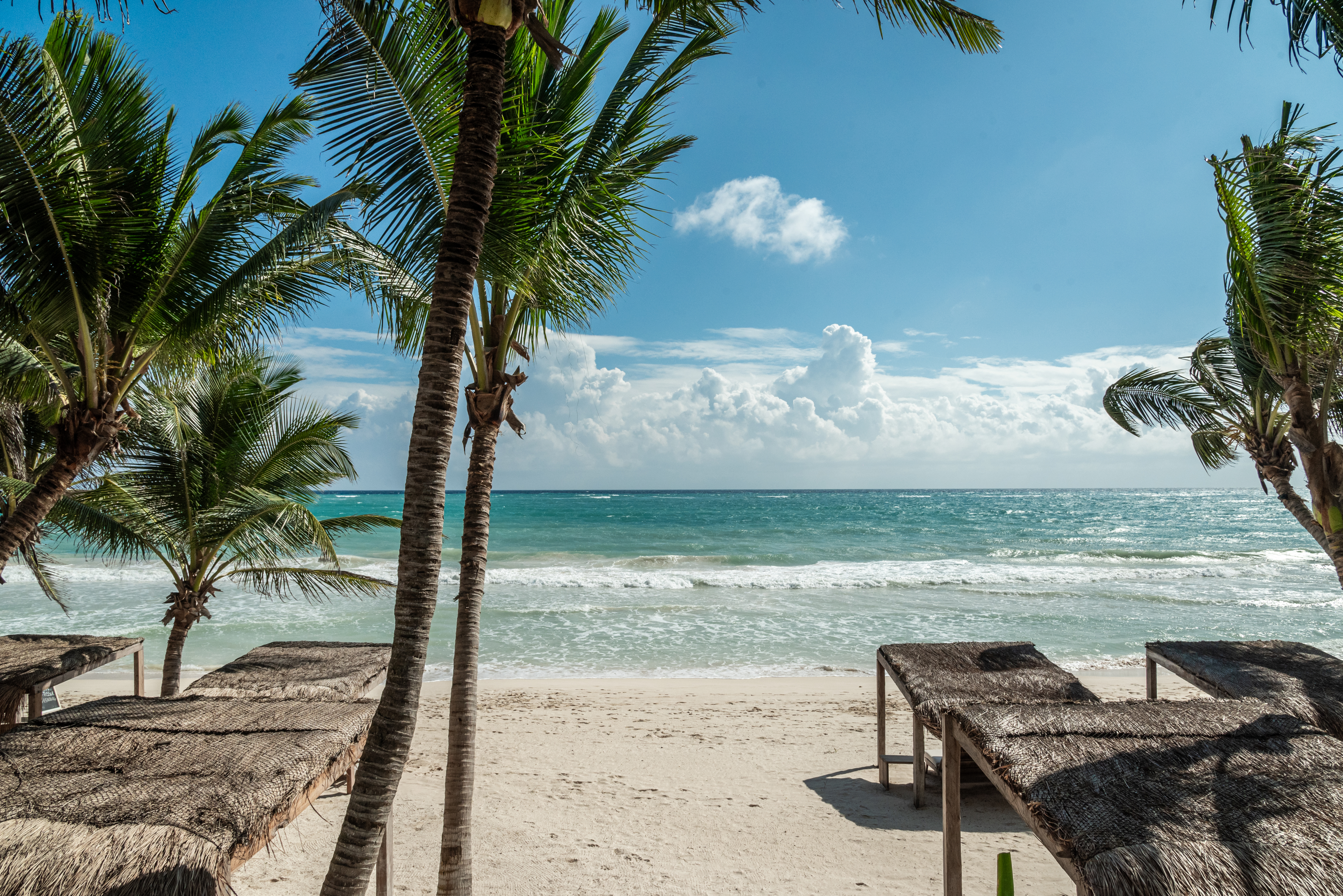 Thatched beach palapas and loungers under coconut palms facing the turquoise Caribbean at the XELA Beach Club