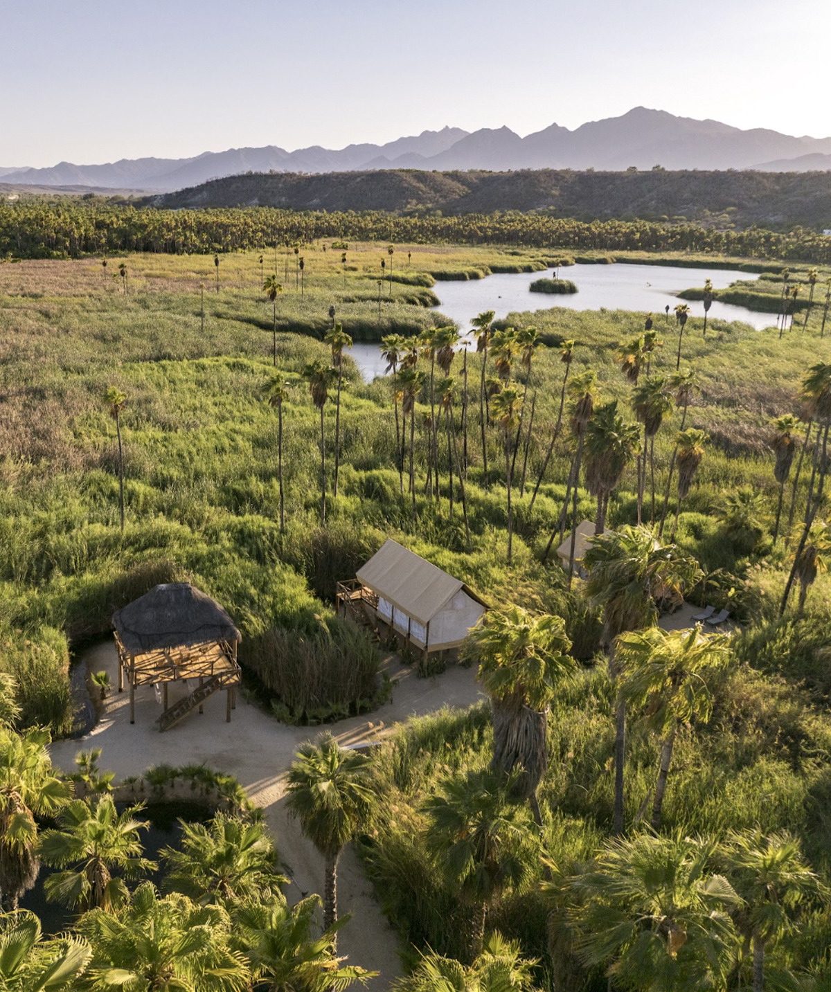 Aerial view of NEST Los Cabos tents and palapa within the Santiago oasis, with the lagoon and the Sierra de la Laguna beyond