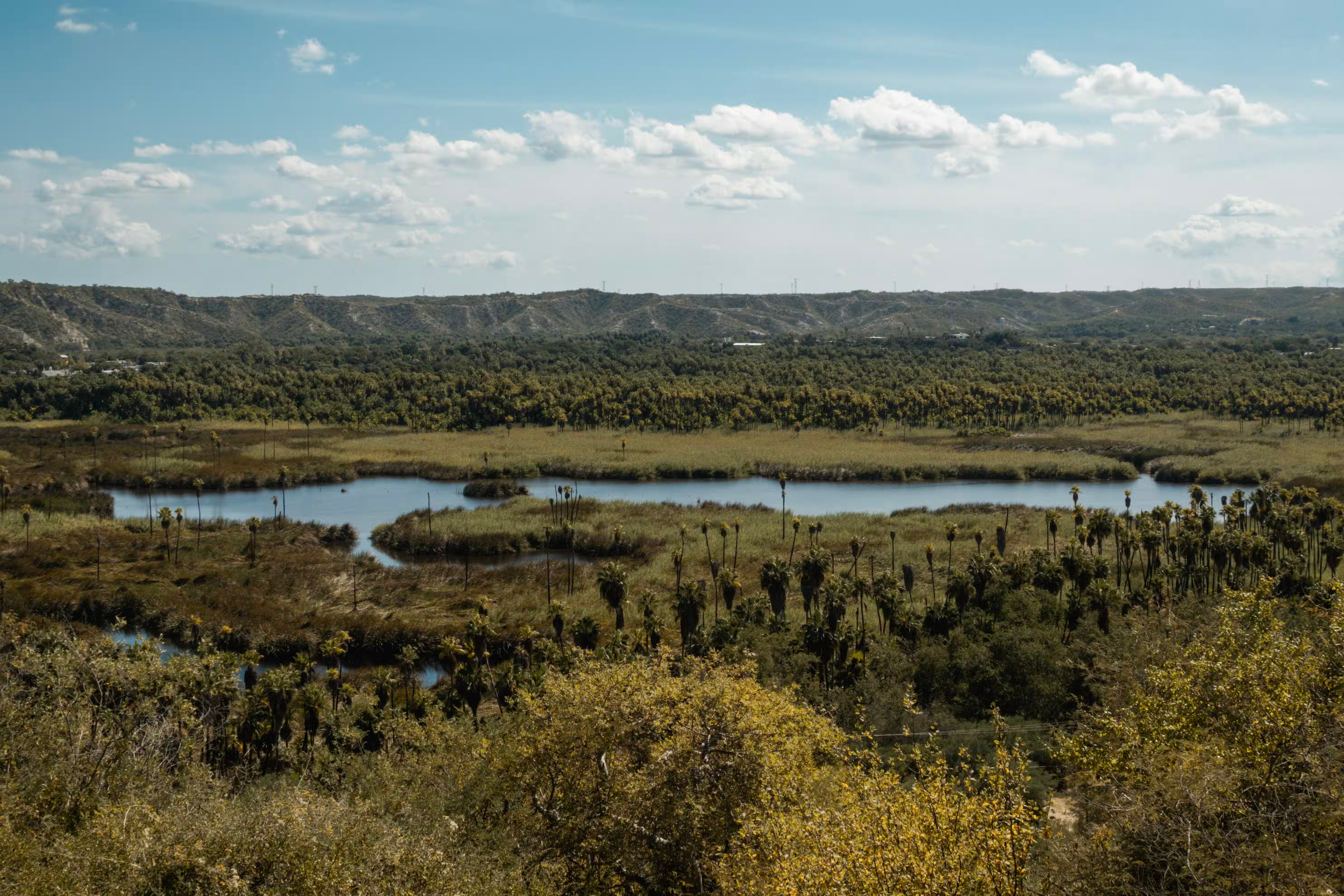 Panoramic view over the Santiago oasis: lagoon, palm groves and desert hills under a wide sky