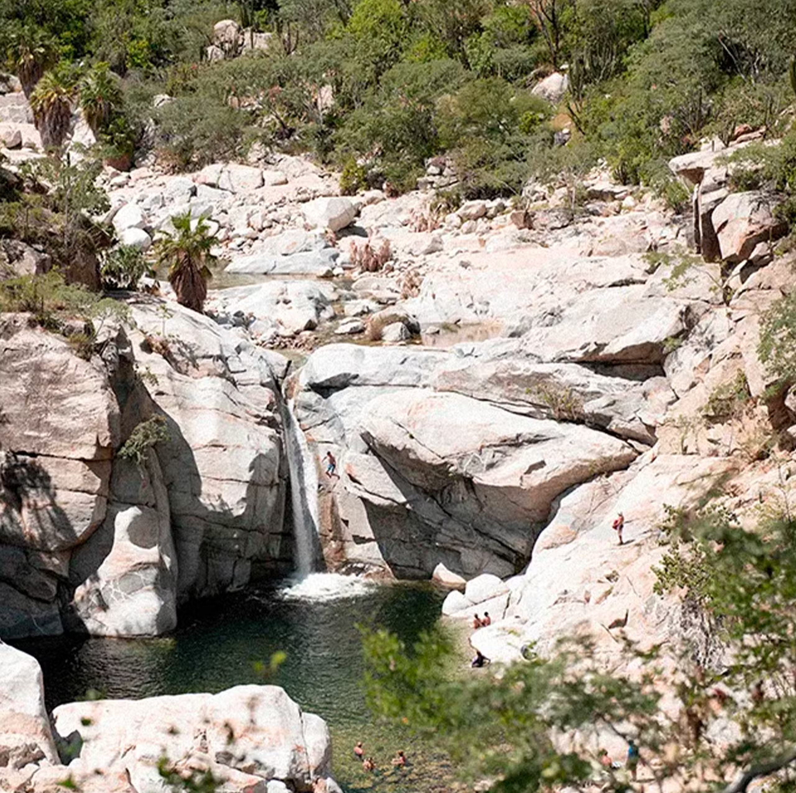 Una cascada que cae entre rocas de granito pálido hacia una poza verde en el Cañón de la Zorra, Sierra de la Laguna