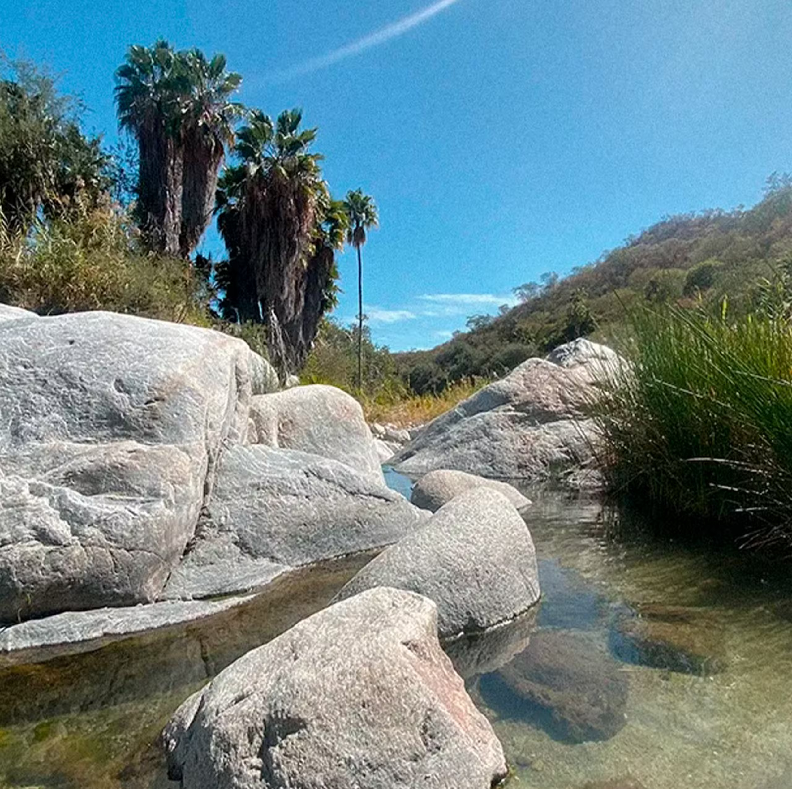 A clear stream running between granite boulders and palms in a Sierra de la Laguna canyon